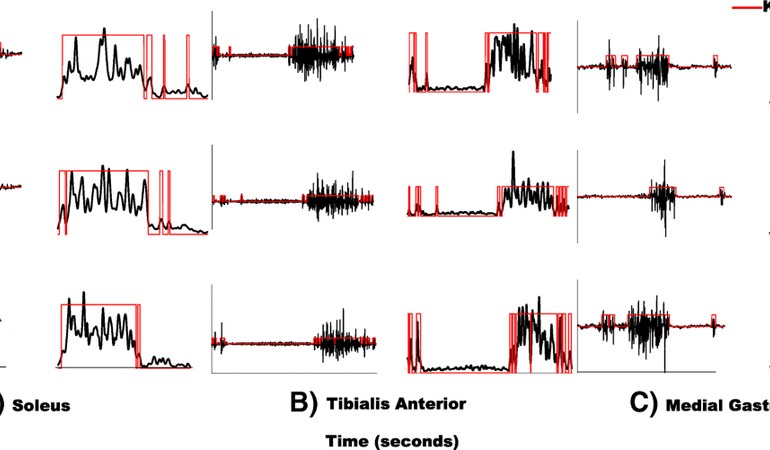Muscle Activation Patterns (EMG Insights)