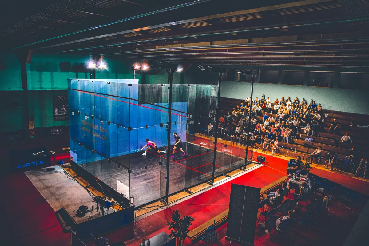 Active Squash Club squash venue photo 7 of 7