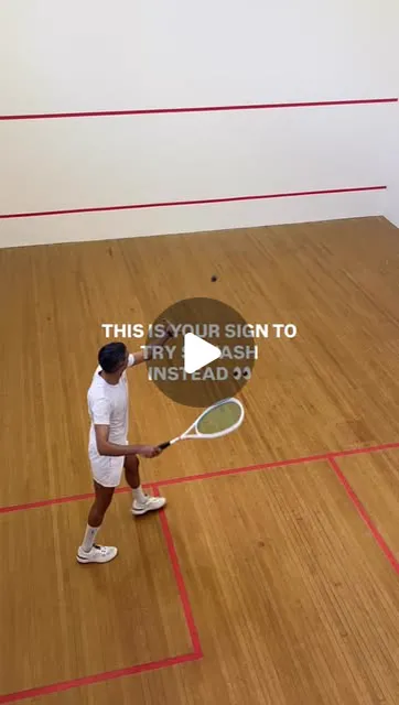 Bondi Squash Club squash venue photo 2 of 7