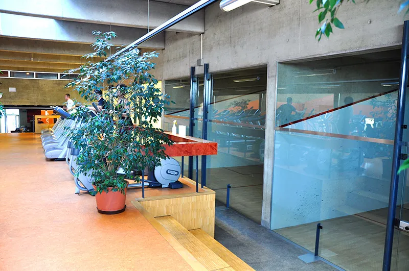 Lemon Squash & Fitness squash venue photo 5 of 7