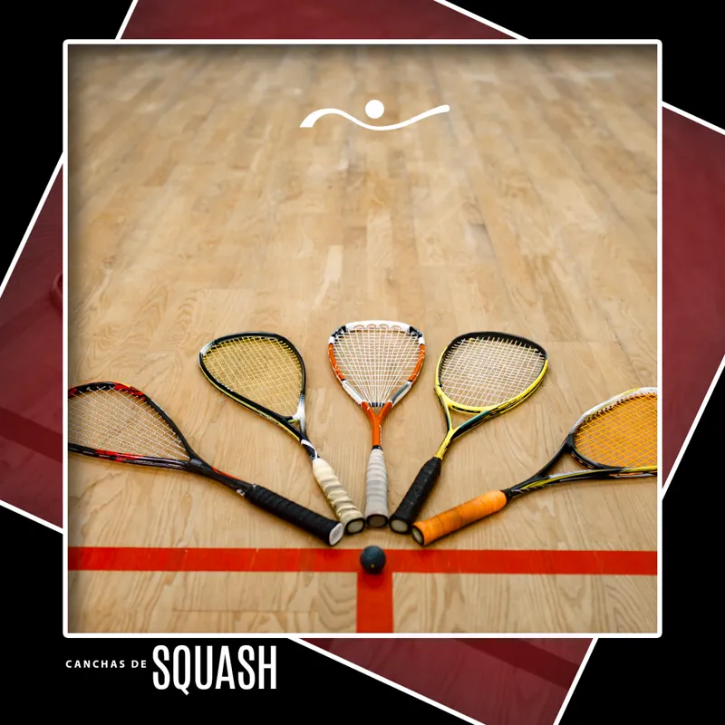 Life And Fitness Mexico (GDL) squash venue photo 4 of 4