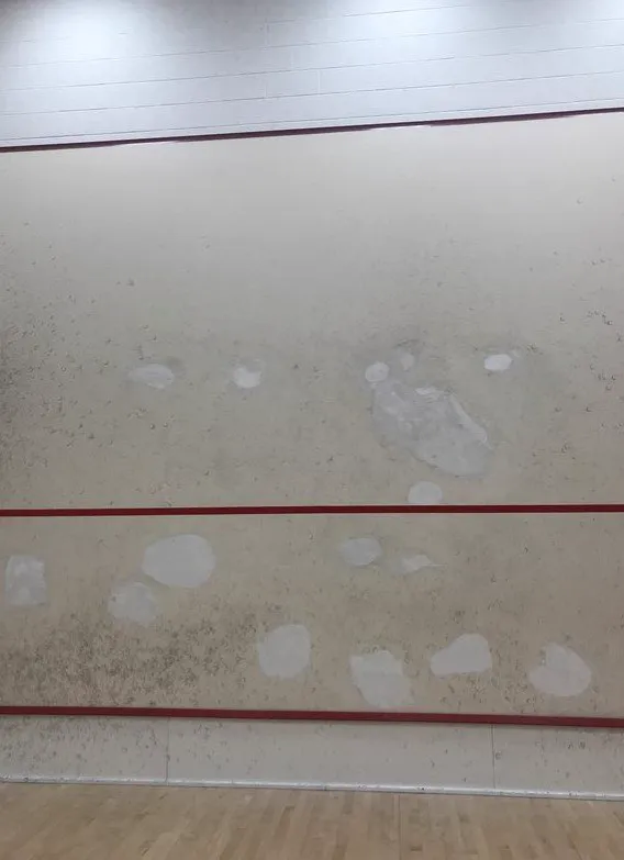 Merion Cricket Club squash venue photo 3 of 6