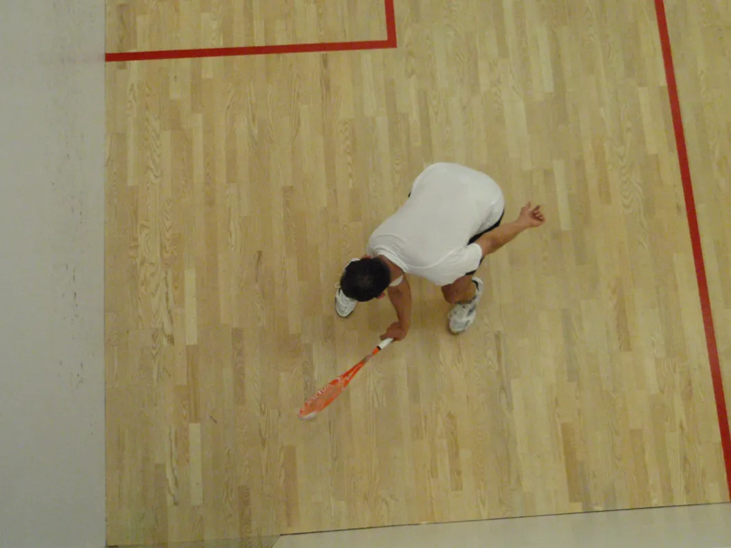 Potomac Squash Club