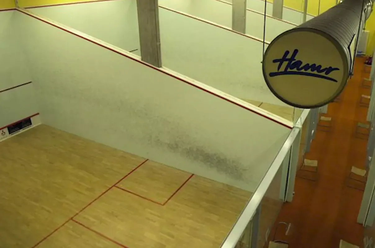 Sports Complex HAMR-Zabehlice squash venue photo 2 of 2