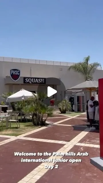 Amir Wagih Squash Academy (Palm Amir Squash Academy) squash venue photo 3 of 3