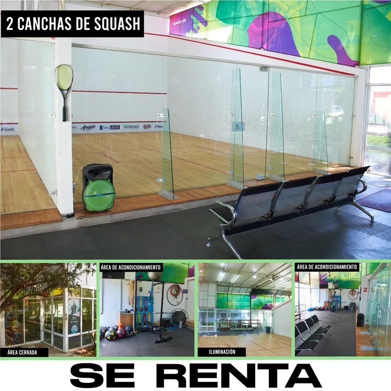 Aragon Squash squash venue photo 1 of 1