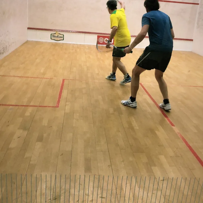 Bassumer Squash Club "Shooting-Birds" e.V. squash venue photo 5 of 5