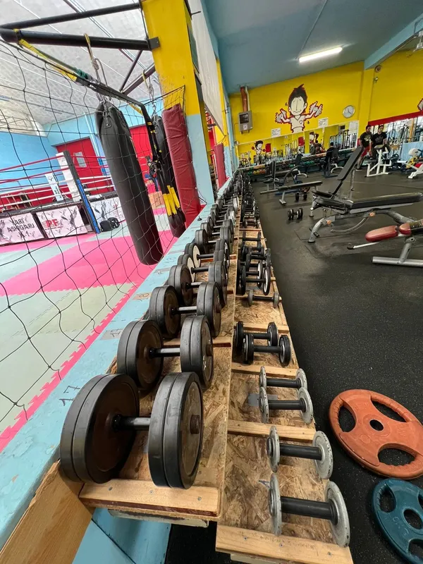 Big Gym & Squash Club Pesaro squash venue photo 4 of 9