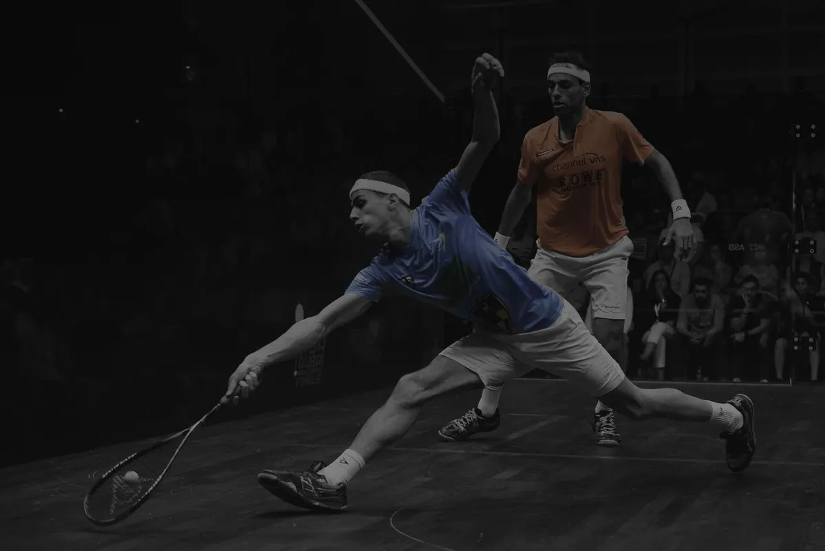 Cardigan Squash Club squash venue photo 5 of 9