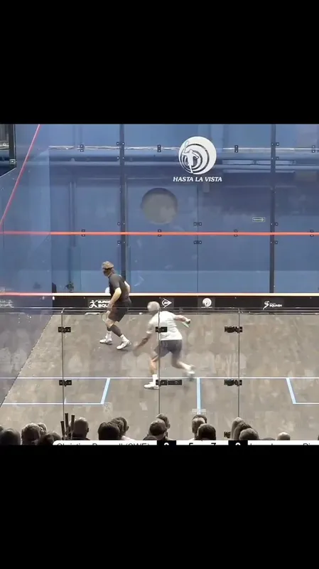 Centro Squash Losone squash venue photo 3 of 10