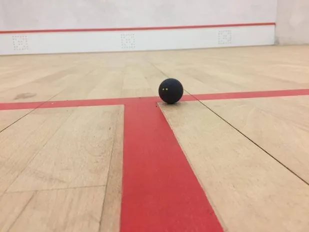 Cheam Squash Club squash venue photo 8 of 8