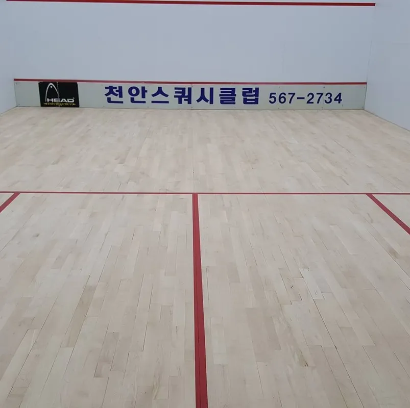 Cheonan Squash Club squash venue photo 6 of 6