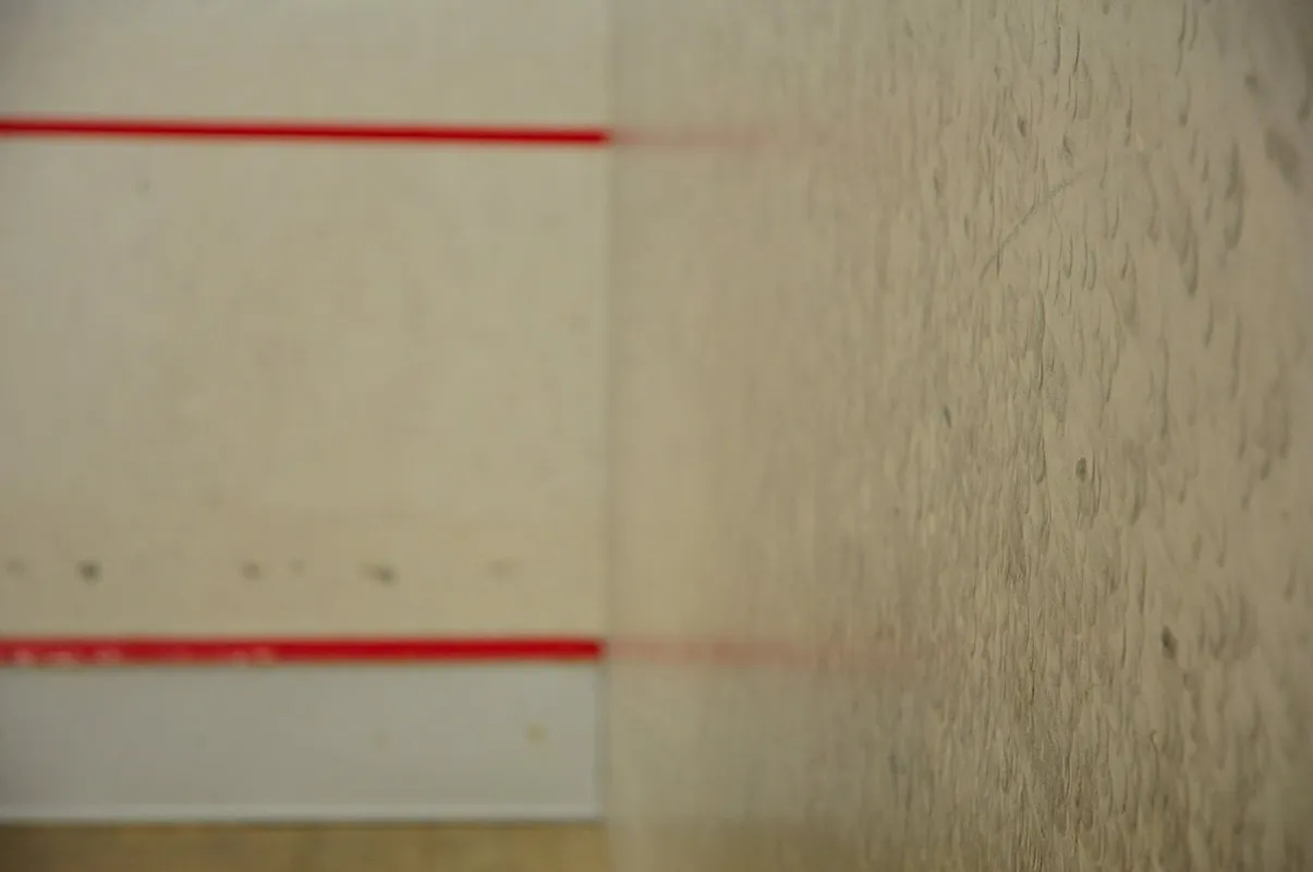 Club The Squash Club squash venue photo 6 of 6