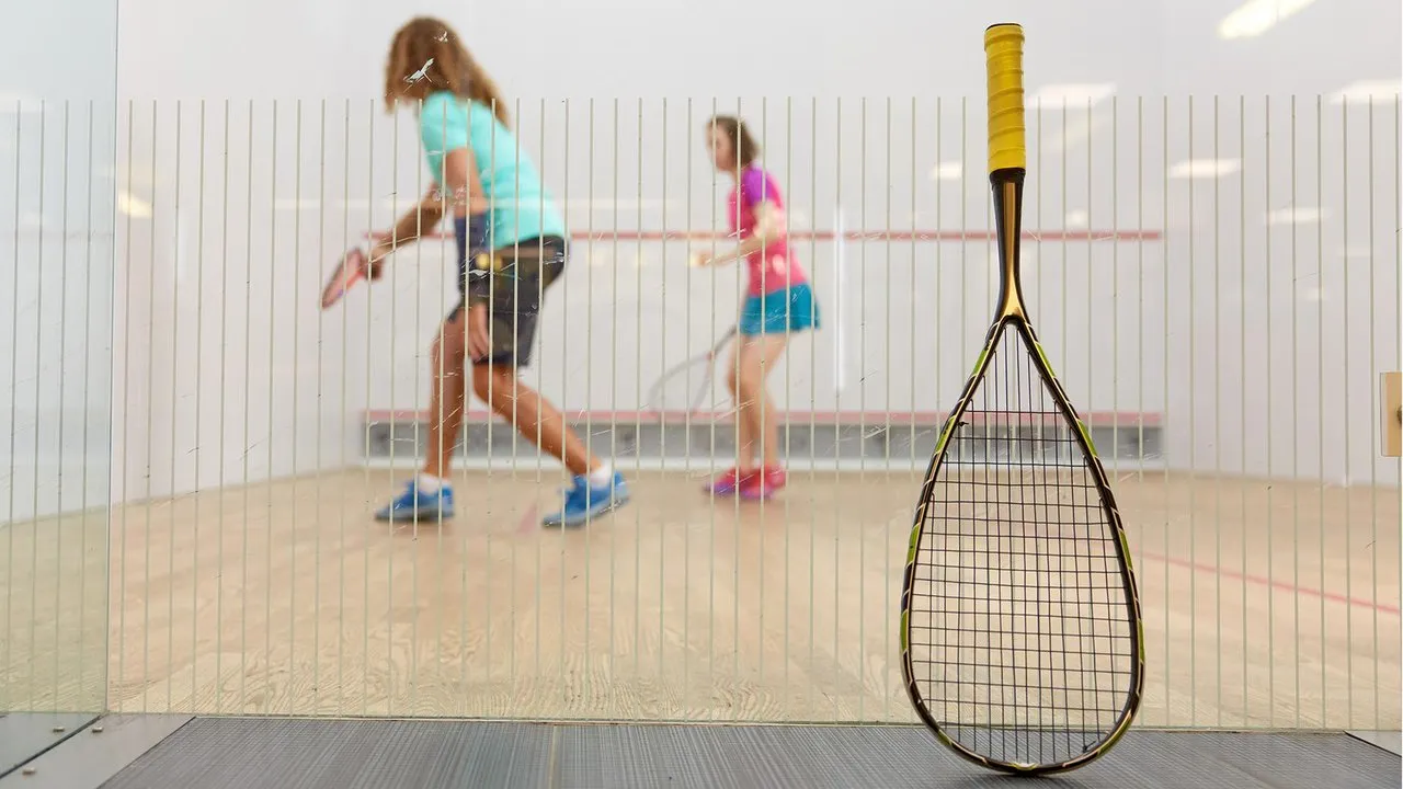 Elmshorner Squash Club squash venue photo 3 of 6