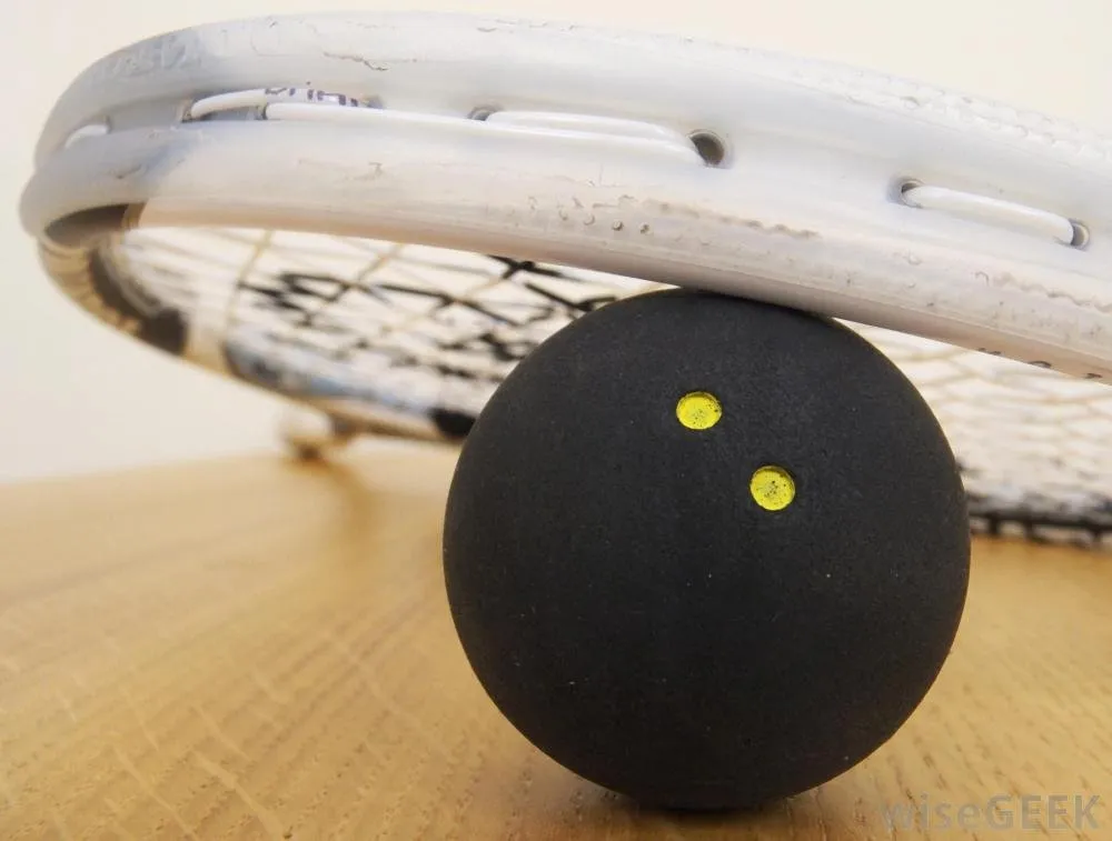 Florida Trezona Squash Club ( Members Only) squash venue photo 2 of 3