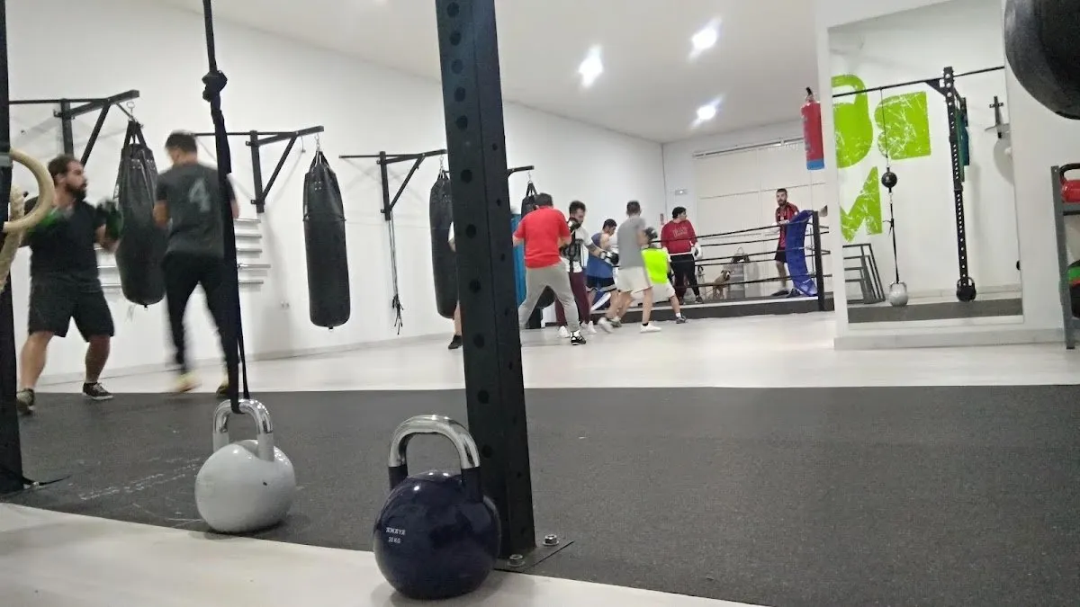 Gimnasio Olimpia Squash squash venue photo 6 of 7