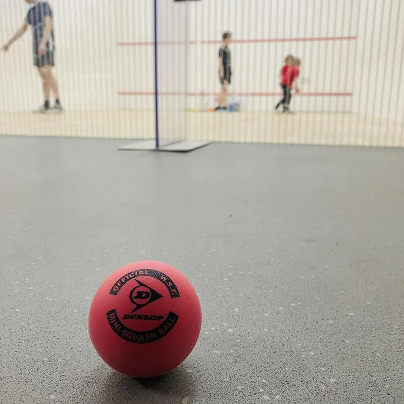 Haltemprice Leisure Centre squash venue photo 6 of 7