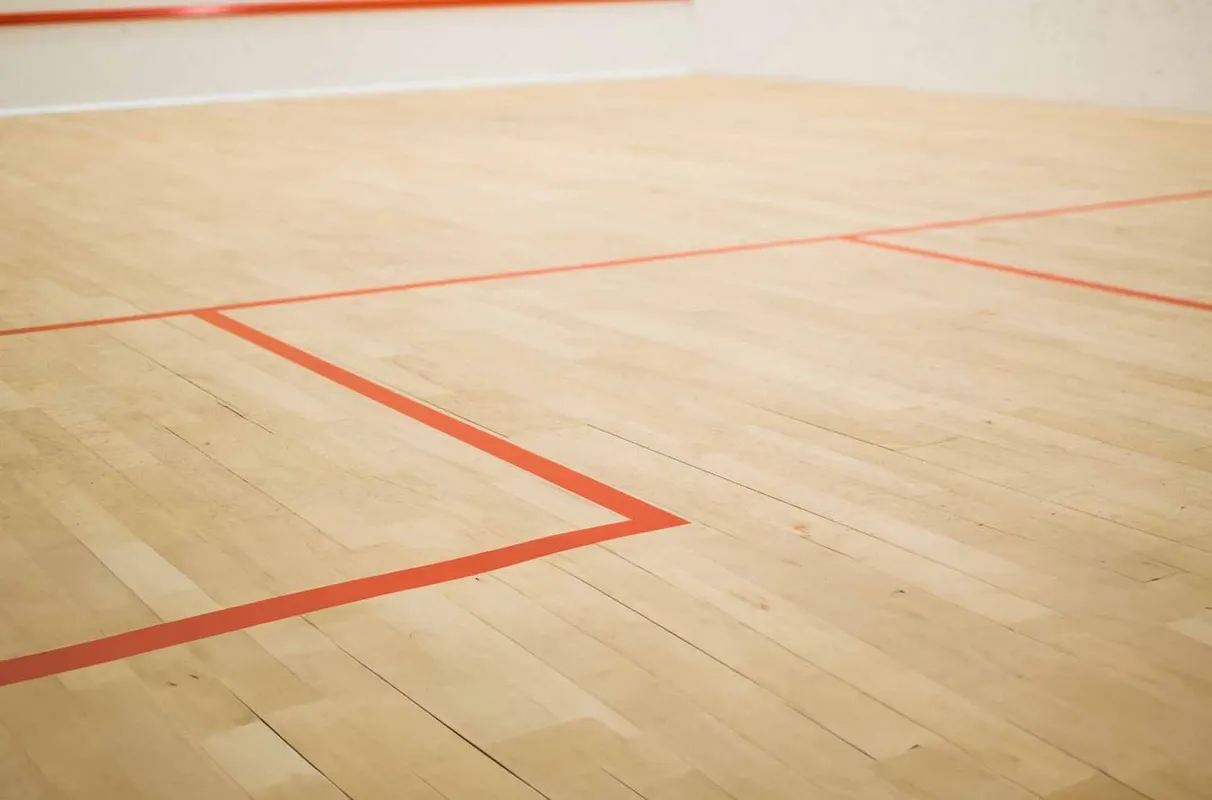 Hyde Creek Recreation Centre squash venue photo 7 of 7