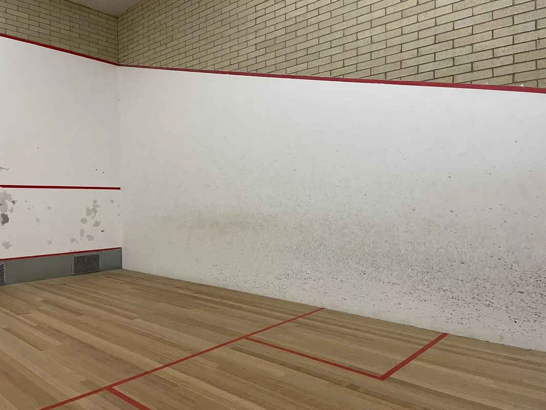 Kingborough Sports Centre squash venue photo 8 of 8