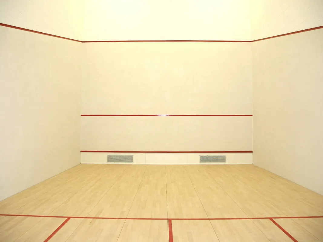 Llandeilo Squash Club squash venue photo 10 of 10