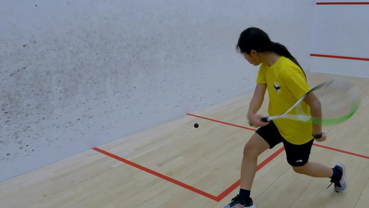Manx Sport & Recreation squash venue photo 4 of 8