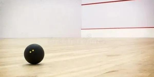 Mittal Squash Club squash venue photo 4 of 4