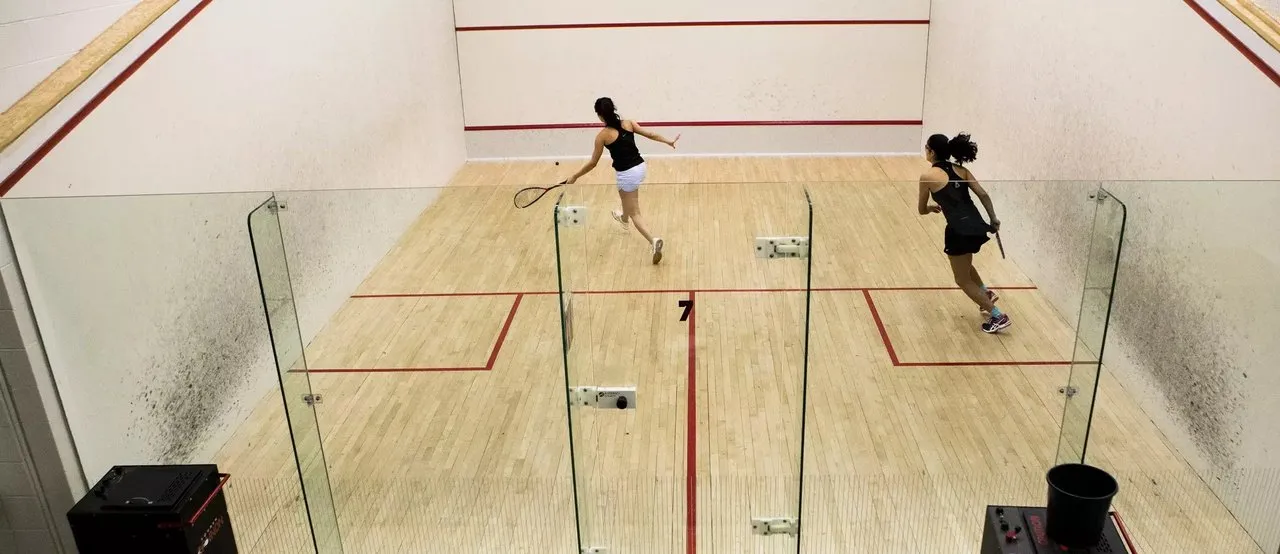 NESAC Squash Court squash venue photo 2 of 8