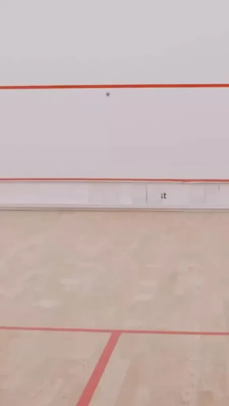 New Squash and Badminton, Jorkyball, Foot 2 squash venue photo 5 of 6