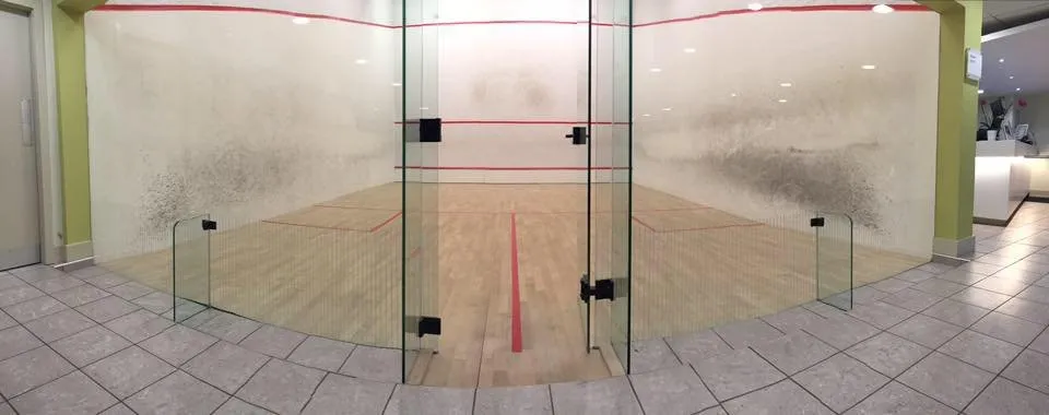 Nuffield Health (Chester) squash venue photo 9 of 9