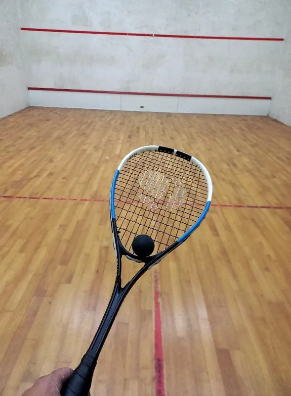 Paddock Squash Club, Antonio G B Gomes squash venue photo 6 of 7