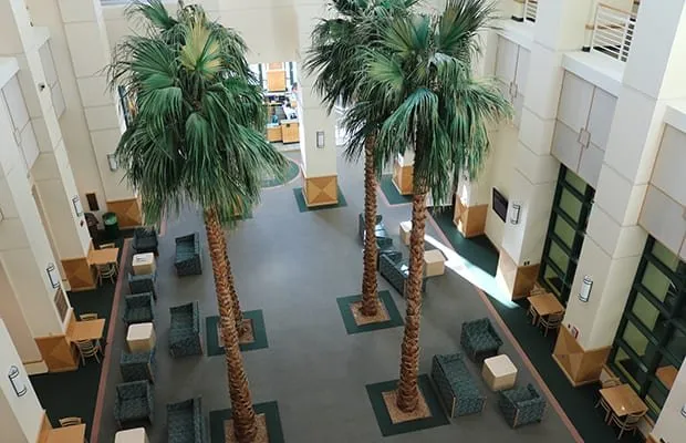 Patti and Allan Herbert Wellness Center squash venue photo 2 of 8