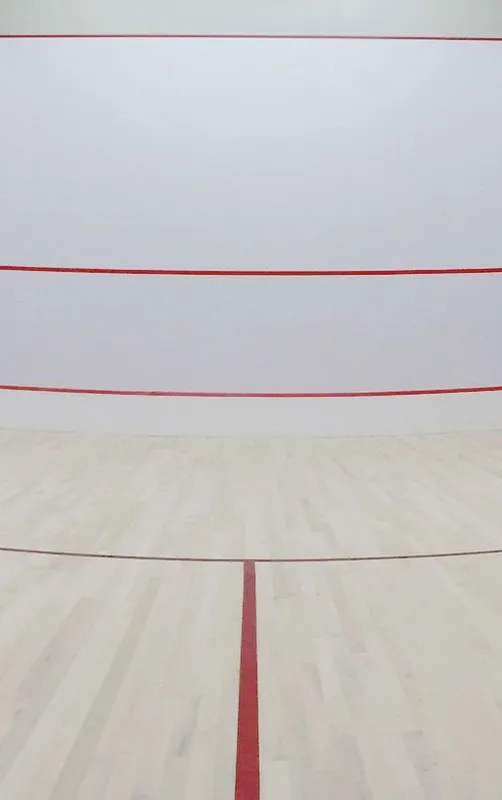 Playcon Recreation Inc squash venue photo 6 of 10