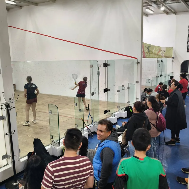 Professional Squash M5 squash venue photo 5 of 7