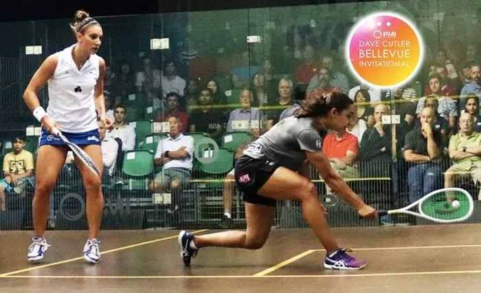 Pro Sports Club Bellevue squash venue photo 5 of 10