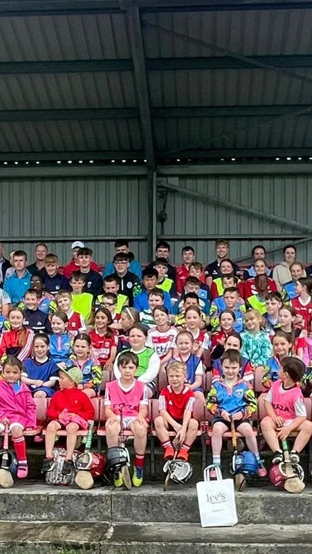 Rathluirc (Charleville) GAA Club squash venue photo 1 of 3