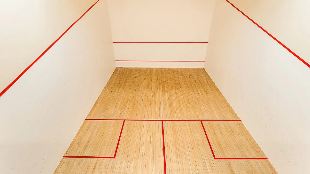 Robert Lowe Sports Centre squash venue photo 8 of 9