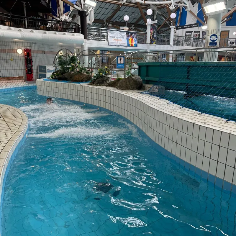 Romsey Rapids Sports Complex squash venue photo 8 of 8