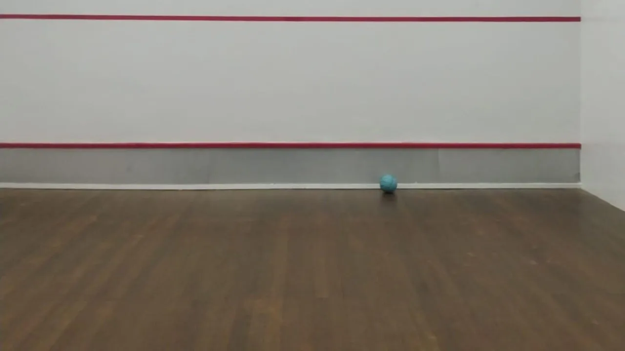SLF Complex squash venue photo 10 of 10