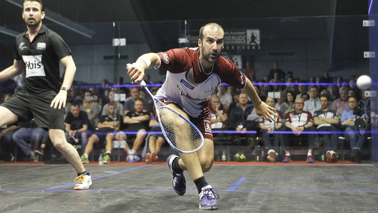 Sporttreff Kinzigtal squash venue photo 5 of 6