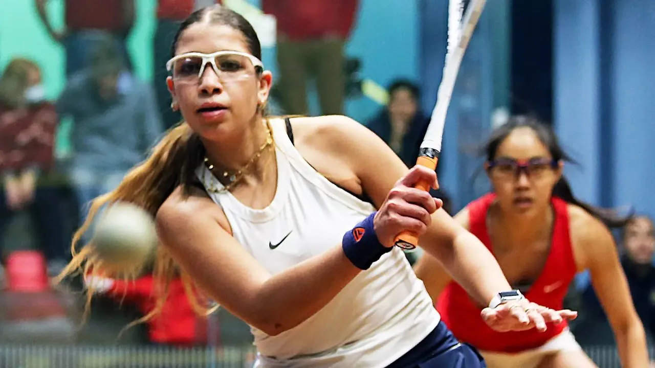 Sports International Altinoran squash venue photo 6 of 6
