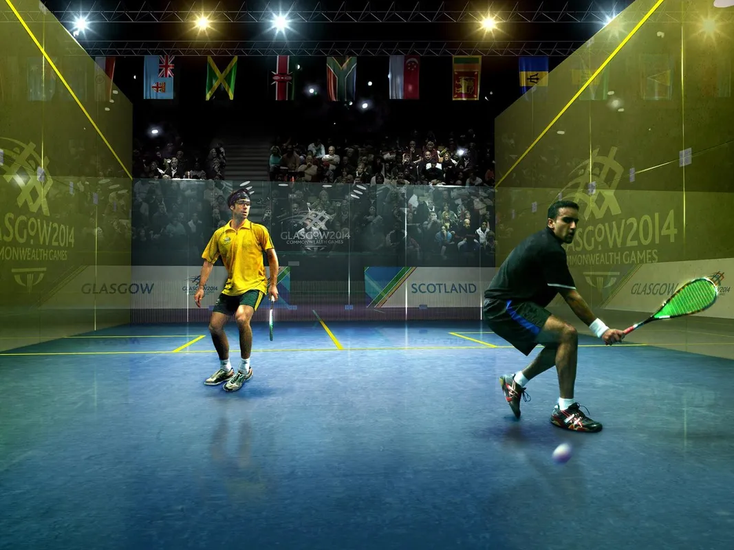 Squash Arlequin squash venue photo 2 of 2