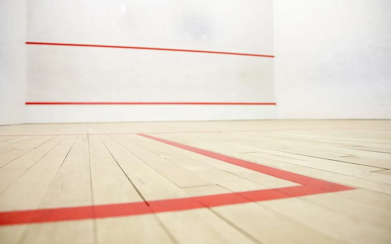 Squash & Bad de Pessac squash venue photo 8 of 9
