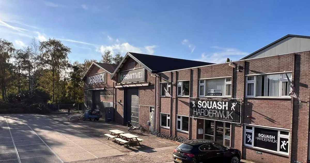 Squash Harderwijk squash venue photo 2 of 5