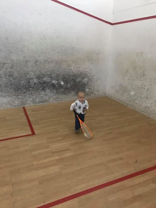 Squash-Treff Karlsruhe squash venue photo 8 of 9