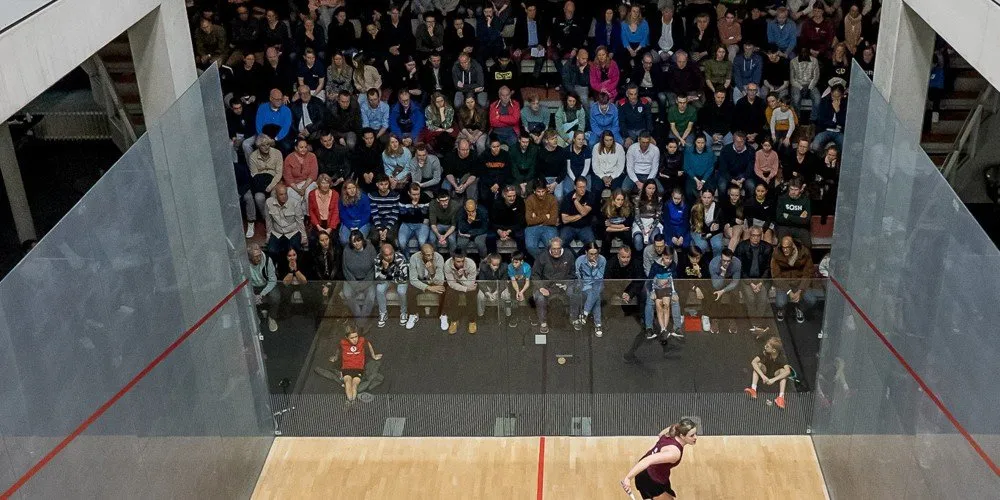 Squash DK squash venue photo 2 of 3