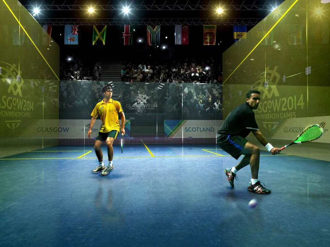 Squash Hajek squash venue photo 4 of 6