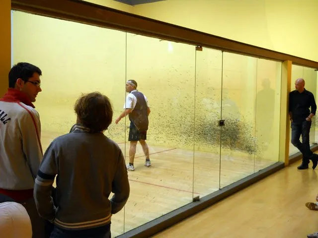 Squash Inn Fitness Point squash venue photo 10 of 10