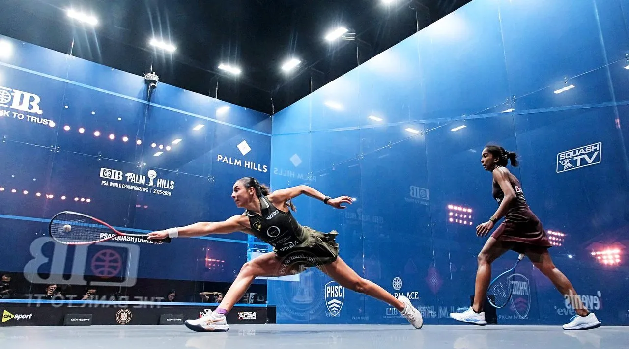 Stichting Squash World squash venue photo 2 of 2