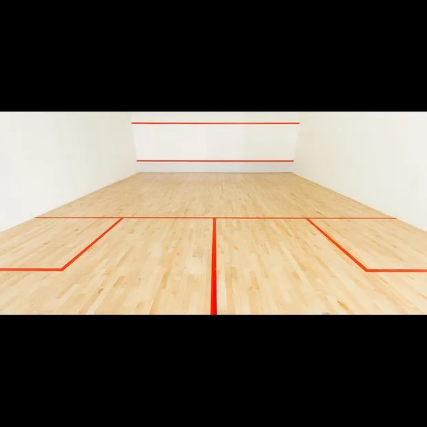Tennis-Squash-Boule Center Lichtenbusch squash venue photo 4 of 8