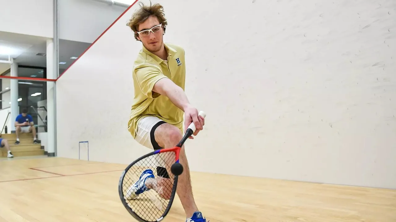 Tennis, Squash & Fitness Hemmingen squash venue photo 4 of 7